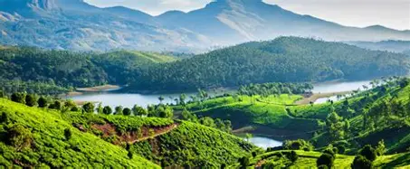 Kochi To Munnar 2 Day Tour Package — Kerala tour package